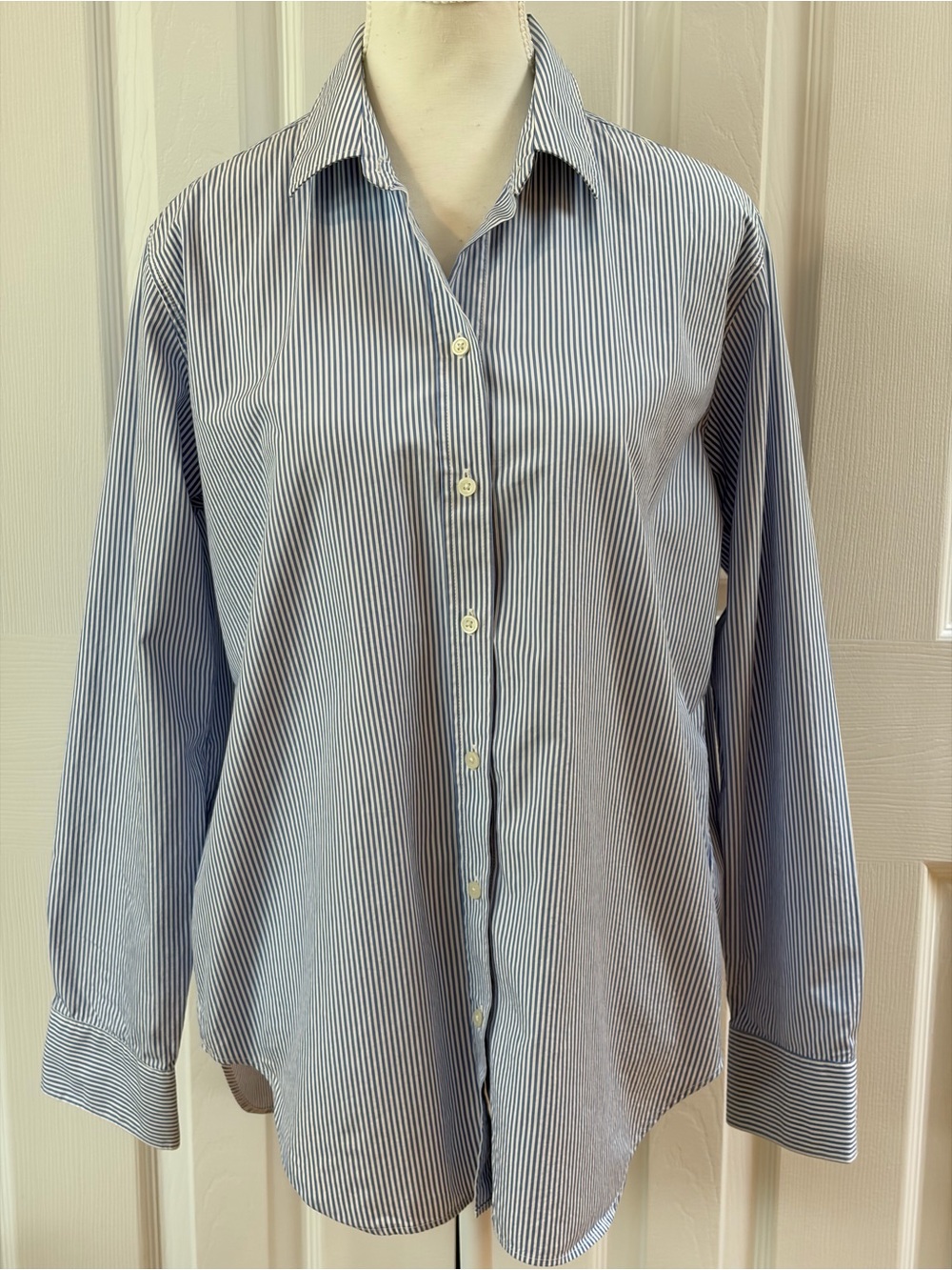 Everlane Blue and White Stripe Everyday Shirt in Silky Cotton